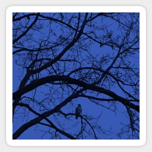 Nightfall in blue Sticker